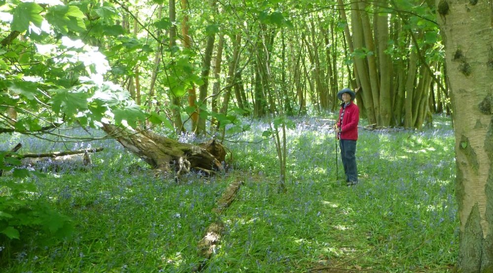 Judith Morris at home in nature