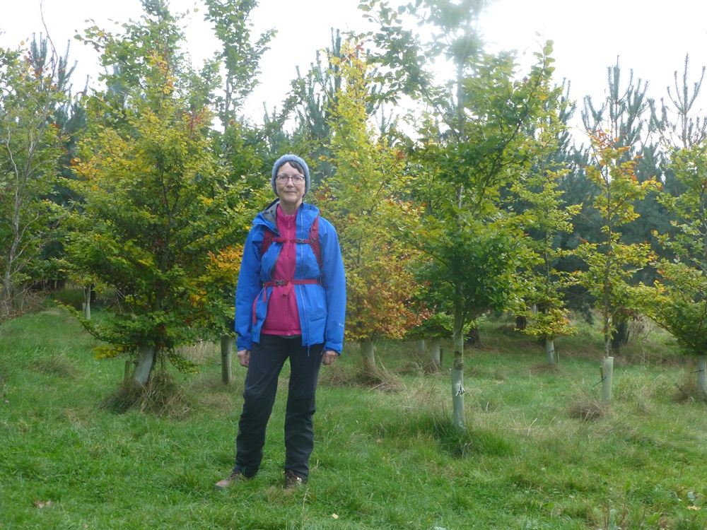 Judith Morris in nature, Stepping out of Silence
