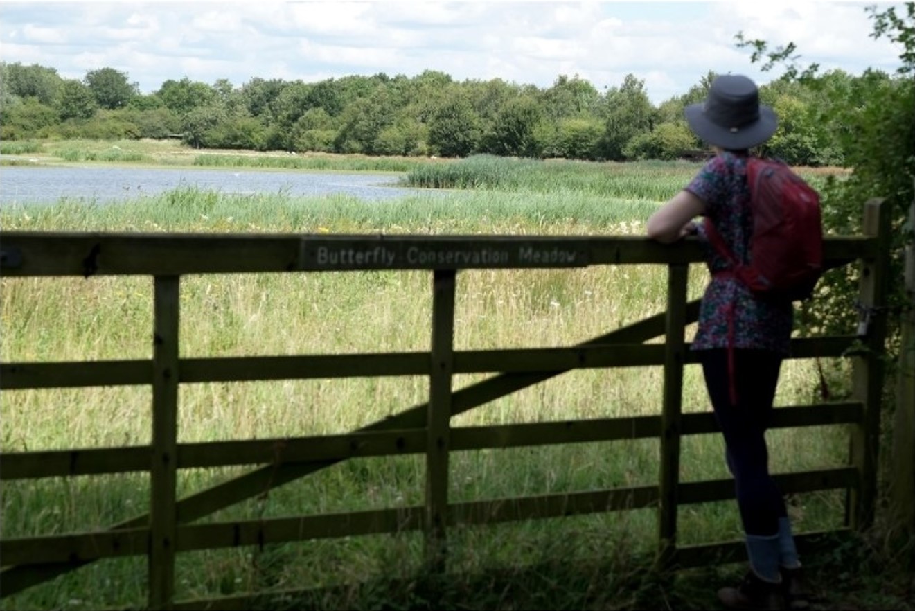 Sign up to Judith Morris' Newsletters about her memoir, Stepping out of Silence